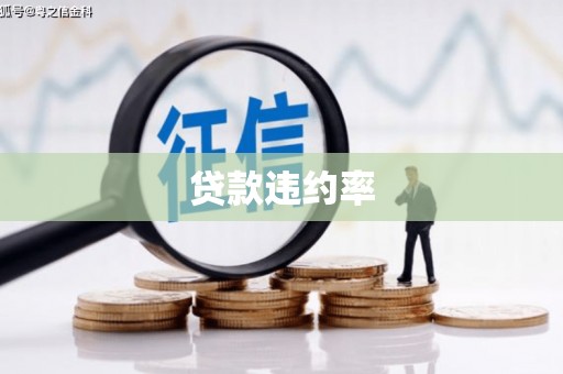 白沙贷款违约率