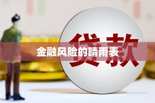 白沙金融风险的晴雨表