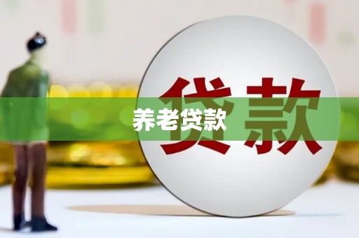 白沙养老贷款