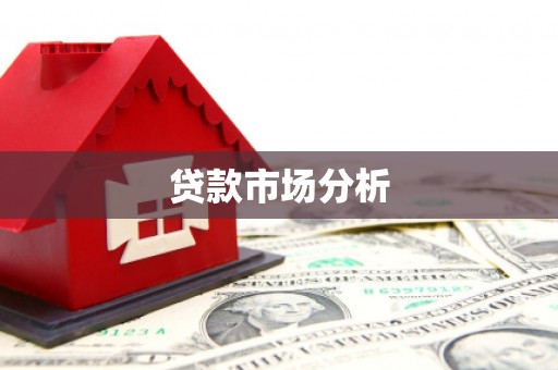 白沙贷款市场分析