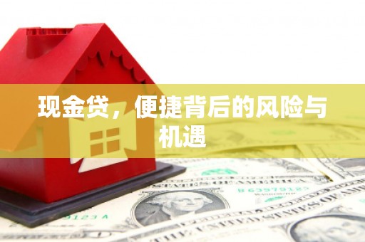 白沙现金贷，便捷背后的风险与机遇