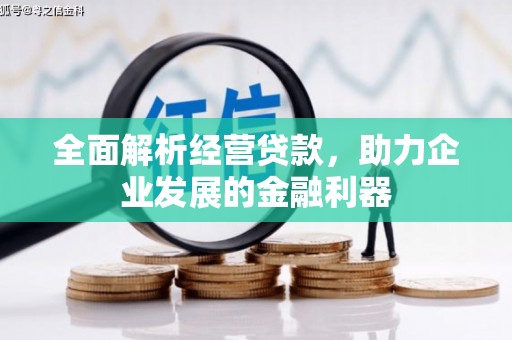 白沙全面解析经营贷款，助力企业发展的金融利器