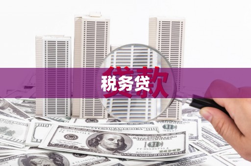 白沙税务贷