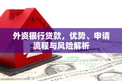 白沙外资银行贷款，优势、申请流程与风险解析