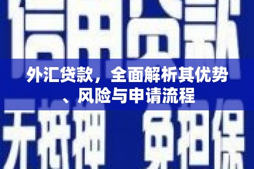 白沙外汇贷款，全面解析其优势、风险与申请流程