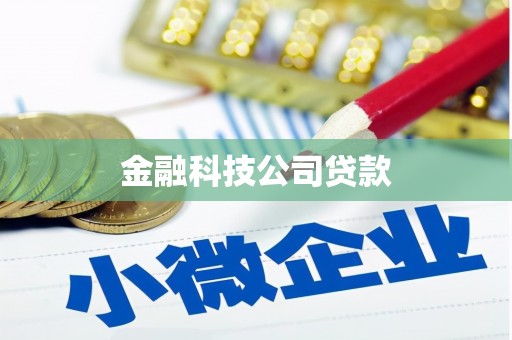白沙金融科技公司贷款
