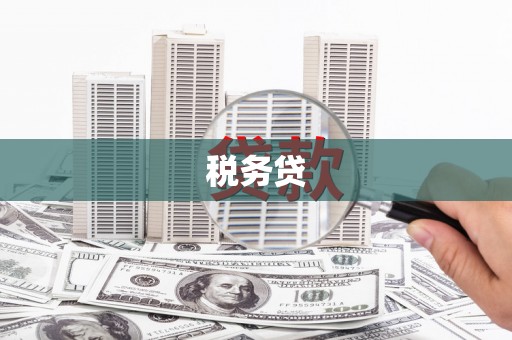 白沙税务贷