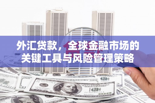 白沙外汇贷款，全球金融市场的关键工具与风险管理策略