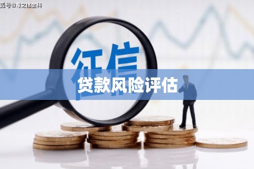 白沙贷款风险评估