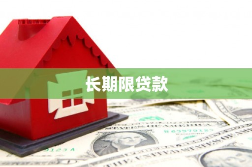 白沙长期限贷款