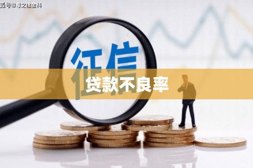 白沙贷款不良率