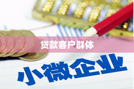 白沙贷款客户群体