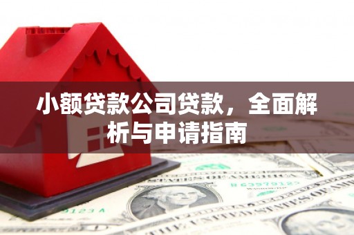 白沙小额贷款公司贷款，全面解析与申请指南
