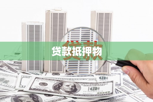 白沙贷款抵押物