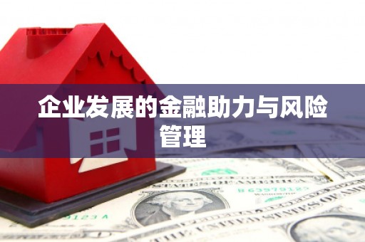 白沙企业发展的金融助力与风险管理