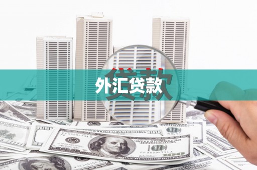 白沙外汇贷款