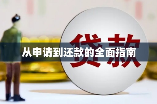 白沙从申请到还款的全面指南