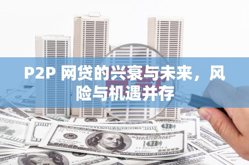 白沙P2P 网贷的兴衰与未来，风险与机遇并存