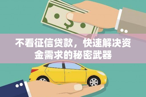 白沙不看征信贷款，快速解决资金需求的秘密武器