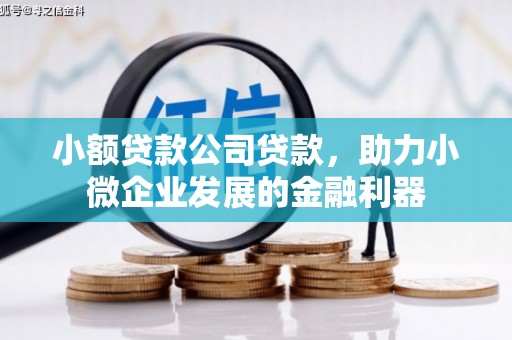 白沙小额贷款公司贷款，助力小微企业发展的金融利器