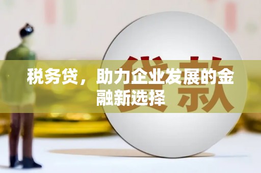 白沙税务贷，助力企业发展的金融新选择