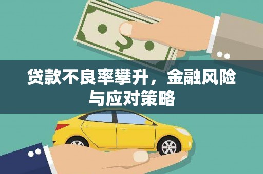 白沙贷款不良率攀升，金融风险与应对策略