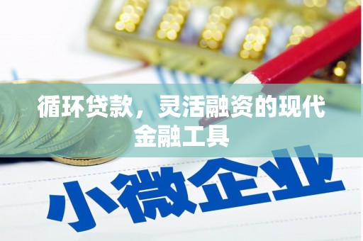 白沙循环贷款，灵活融资的现代金融工具