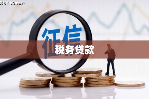 白沙税务贷款
