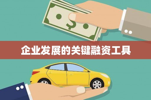 白沙企业发展的关键融资工具