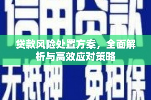 白沙贷款风险处置方案，全面解析与高效应对策略