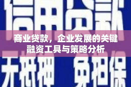 白沙商业贷款，企业发展的关键融资工具与策略分析