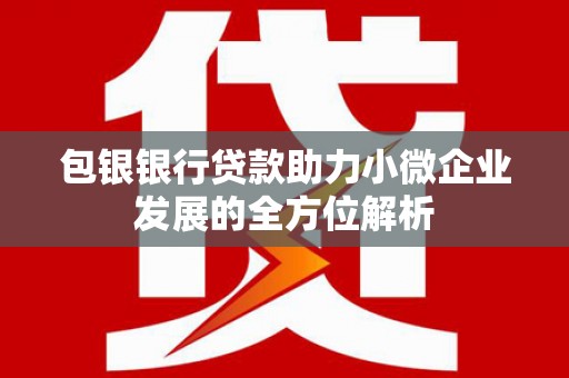 白沙包银银行贷款助力小微企业发展的全方位解析