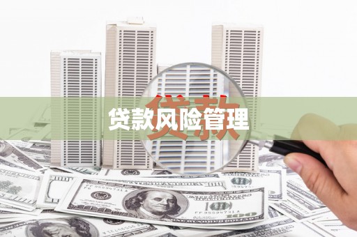 白沙贷款风险管理