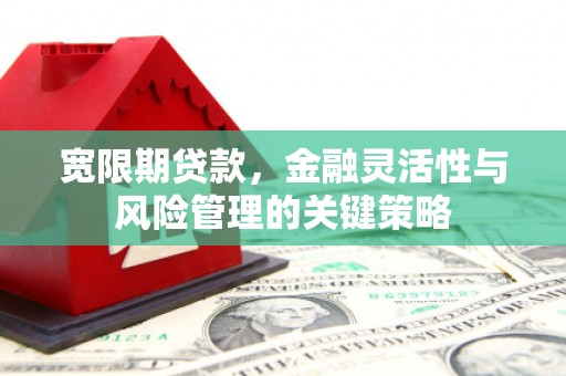 白沙宽限期贷款，金融灵活性与风险管理的关键策略