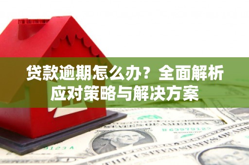 白沙贷款逾期怎么办？全面解析应对策略与解决方案