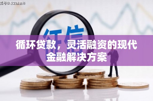 白沙循环贷款，灵活融资的现代金融解决方案