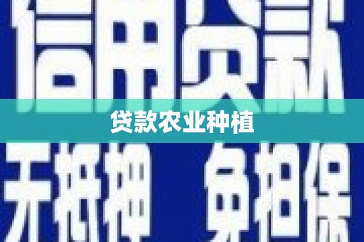 白沙贷款农业种植