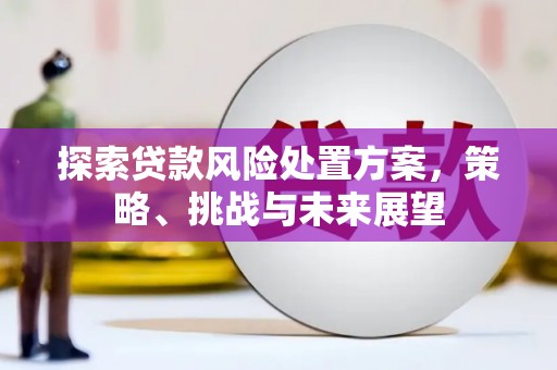 白沙探索贷款风险处置方案，策略、挑战与未来展望
