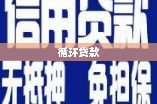 白沙循环贷款