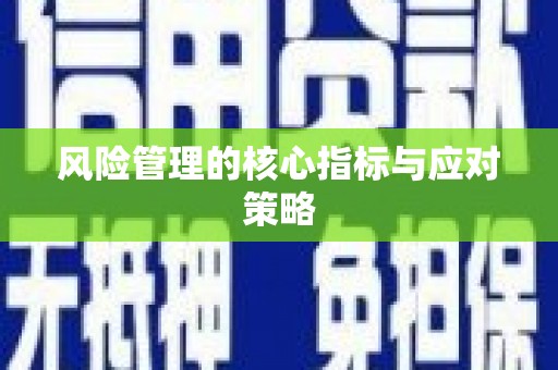 白沙风险管理的核心指标与应对策略
