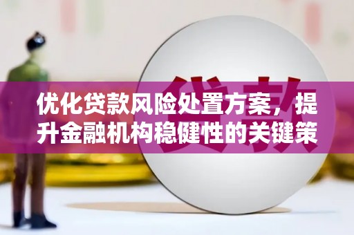 白沙优化贷款风险处置方案，提升金融机构稳健性的关键策略