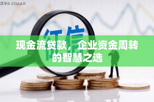 白沙现金流贷款，企业资金周转的智慧之选