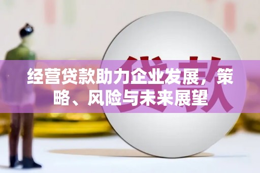 白沙经营贷款助力企业发展，策略、风险与未来展望