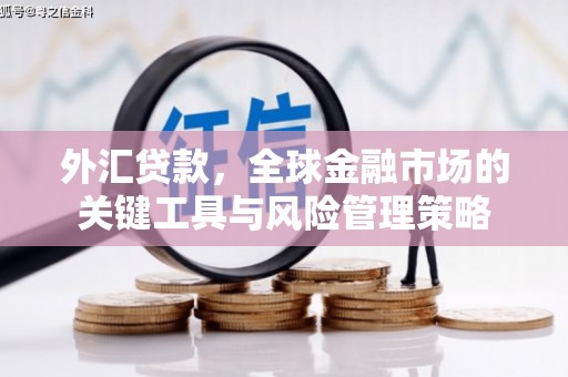 白沙外汇贷款，全球金融市场的关键工具与风险管理策略
