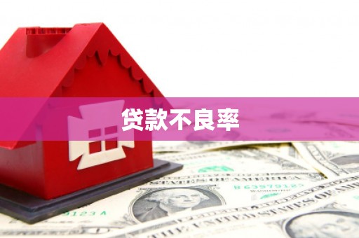 白沙贷款不良率