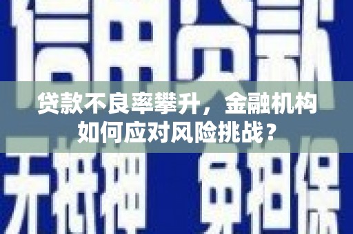 白沙贷款不良率攀升，金融机构如何应对风险挑战？