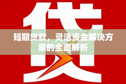 白沙短期贷款，灵活资金解决方案的全面解析