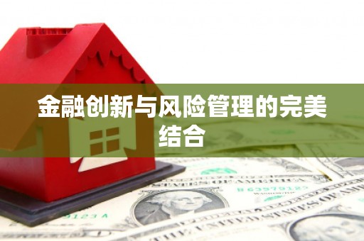 白沙金融创新与风险管理的完美结合