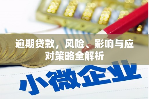 白沙逾期贷款，风险、影响与应对策略全解析