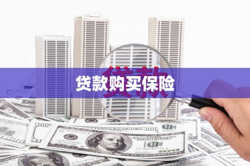 白沙贷款购买保险